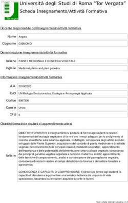 Università degli Studi di Roma "Tor Vergata" Scheda Insegnamento/Attività Formativa