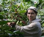 DOSSIER Il caff&egrave; Equo e Solidale dalle origini alla tazzina