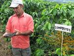 DOSSIER Il caff&egrave; Equo e Solidale dalle origini alla tazzina