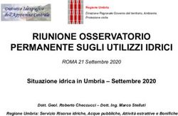 RIUNIONE OSSERVATORIO PERMANENTE SUGLI UTILIZZI IDRICI - Rapporto sulla situazione idrica