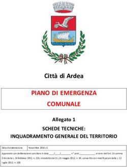 PIANO DI EMERGENZA COMUNALE - Citt&agrave; di Ardea - Comune di Ardea