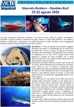 CROCIERA SUBACQUEA MAR ROSSO - 1155-2222 aaggoossttoo 22002200 - Mete Subacquee