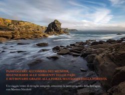 PASSEGGIARE ALL'OMBRA DEI MENHIR, RIGENERARSI ALLE SORGENTI DELLE FATE E RITROVARSI GRAZIE ALLA FORZA SELVAGGIA DELLA FORESTA - Un viaggio/ritiro ...