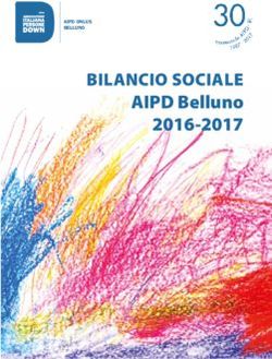 BILANCIO SOCIALE AIPD Belluno 2016-2017
