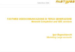 FASTWEB VIDEOCOMUNICAZIONE DI TERZA GENERAZIONE - Network Completion and VDC services Igor Bagnobianchi