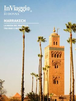 MARRAKECH LA MAGIA DEL MAROCCO TRA RIAD E MERCATI