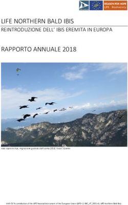 LIFE NORTHERN BALD IBIS - REINTRODUZIONE DELL' IBIS EREMITA IN EUROPA - Waldrappteam