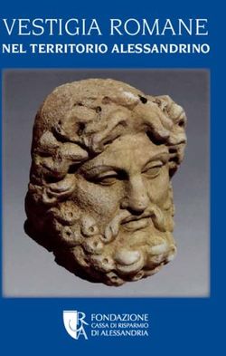 VESTIGIA ROMANE NEL TERRITORIO ALESSANDRINO - Fondazione Cassa di Risparmio di ...