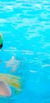 LA FELICITÀ DI AVERE UNA PISCINA A CASA - Isolamento termico per piscine, ecologico ed efficiente