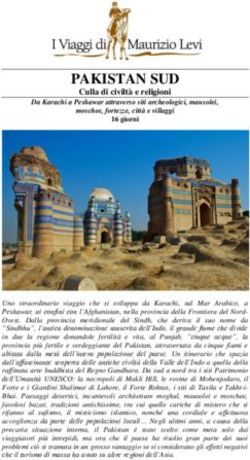 PAKISTAN SUD - I Viaggi di Maurizio Levi