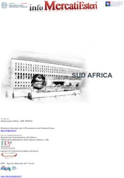 SUD AFRICA - infoMercatiEsteri