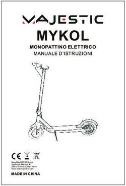 MYKOL MONOPATTINO ELETTRICO - MANUALE D'ISTRUZIONI - New ...