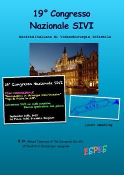 19 Congresso Nazionale SIVI 19 - SIVITALY