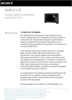 BVM-E170 Monitor OLED di riferimento Full-HD da 16,5" - pro.sony
