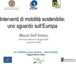Interventi di mobilit&agrave; sostenibile: uno sguardo sull'Europa - Mauro Dell'Amico la mobilit&agrave; casa-lavoro... Sostenibile - Mobilit&agrave;