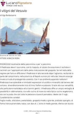 I vitigni del Vesuvio - di Ugo Baldassarre - Luciano Pignataro