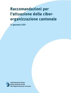 Raccomandazioni per l'attuazione della ciber-organizzazione cantonale - 12 gennaio 2021