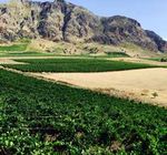 2 Esperienza sul campo - Rete Rurale Nazionale