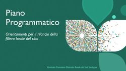 Piano Programmatico Orientamenti per il rilancio della filiera locale del cibo - Comitato Promotore Distretto Rurale del Sud Sardegna ...