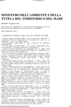 MINISTERO DELL'AMBIENTE E DELLA TUTELA DEL TERRITORIO E DEL MARE