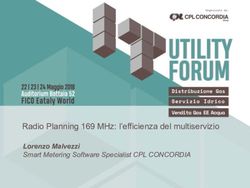 Radio Planning 169 MHz: l'efficienza del multiservizio - Lorenzo Malvezzi Smart Metering Software Specialist CPL CONCORDIA
