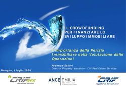 IL CROWDFUNDING PER FINANZIARE LO SVILUPPO IMMOBILIARE - L'importanza della Perizia Immobiliare nella Valutazione delle Operazioni