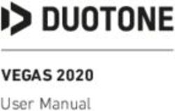 VEGAS 2020 User Manual - Duotone