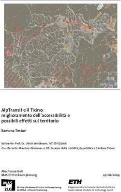 AlpTransit e il Ticino: miglioramento dell'accessibilit&agrave; e possibili effetti sul territorio