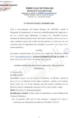 TRIBUNALE DI TERAMO SEZIONE FALLIMENTARE