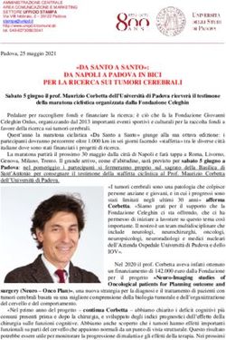"DA SANTO A SANTO": DA NAPOLI A PADOVA IN BICI PER LA RICERCA SUI TUMORI CEREBRALI - Unipd
