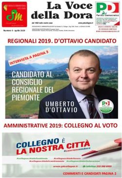 REGIONALI 2019. D'OTTAVIO CANDIDATO - AMMINISTRATIVE 2019: COLLEGNO AL VOTO - INTERVISTA A PAGINA 3 - PD Collegno