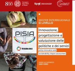 II LIVELLO MASTER INTERREGIONALE - Innovazione, progettazione e valutazione delle politiche e dei servizi