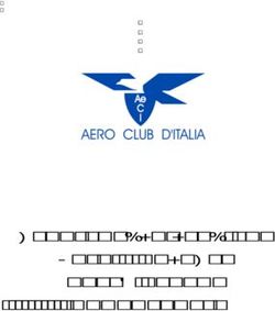 REGOLAMENTO TECNICO VOLO A MOTORE RALLY AEREO IDROVOLANTI - Aero Club Como
