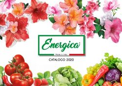 Energica CATALOGO 2020 - Made in Italy - Farmap Industry