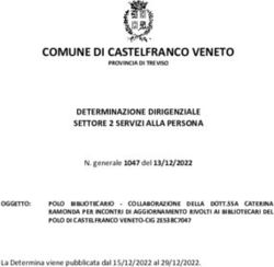 COMUNE DI CASTELFRANCO VENETO