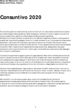 Consuntivo 2020 - Museo del Malcantone