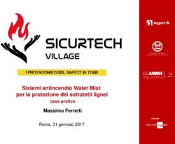 Sistemi antincendio Water Mist per la protezione dei sottotetti lignei Massimo Ferretti - Sicurtech Village