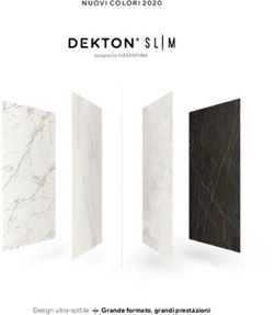 NUOVI COLORI 2020 - Grande formato, grandi prestazioni - Cosentino