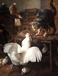 Gli Animali nell'Arte - dal Rinascimento a Ceruti - BRESCIA, PALAZZO MARTINENGO 19 GENNAIO - 9 GIUGNO 2019 - icrezzato