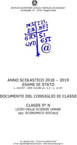 ANNO SCOLASTICO 2018 - 2019 ESAME DI STATO