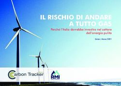 IL RISCHIO DI ANDARE A TUTTO GAS - arbon Tracker - Senato
