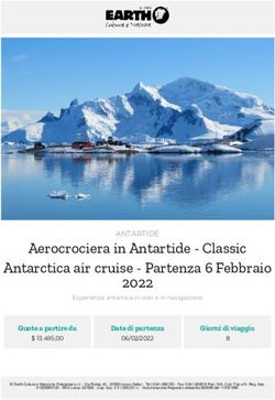Aerocrociera in Antartide - Classic Antarctica air cruise - Partenza 6 Febbraio 2022 - Earth Viaggi