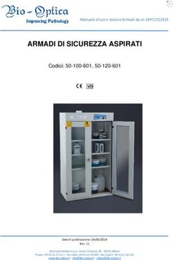 ARMADI DI SICUREZZA ASPIRATI - Codici: 50-100-601, Bio Optica