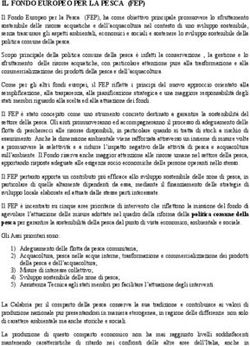 IL FONDO EUROPEO PER LA PESCA (FEP)