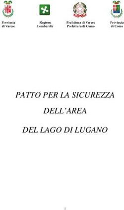 PATTO PER LA SICUREZZA DELL'AREA DEL LAGO DI LUGANO