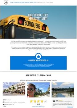 HIGH SCHOOL FLEX NEGLI STATI UNITI HIGH SCHOOL FLEX NEGLI STATI UNITI