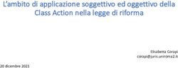 L'ambito di applicazione soggettivo ed oggettivo della Class Action nella legge di riforma - Elisabetta Corapi