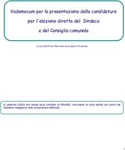 Vademecum per la presentazione delle candidature per l'elezione diretta del Sindaco e del Consiglio comunale - Comune di Ferentino
