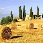 Il Paesaggio è parte della Cultura - Unitre Piemonte
