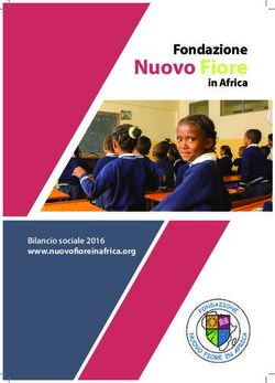 Nuovo Fiore Fondazione - Bilancio sociale 2016 - Nuovo Fiore in Africa
